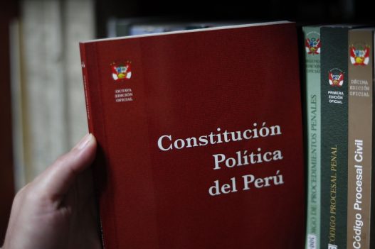 La defensa del régimen económico en la Constitución de Perú