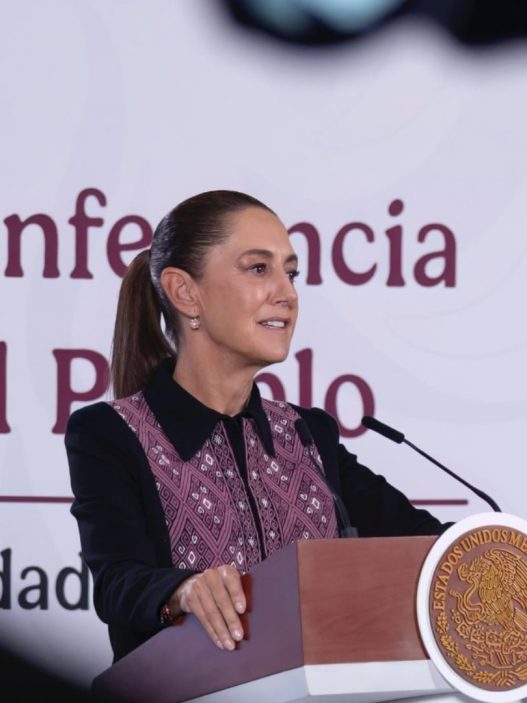 Las críticas a la invitación del Pato Merlín en lugar de madres buscadoras