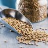 La semilla seca que fortalece la masa muscular y desmiente mitos alimenticios