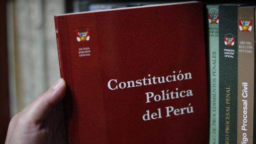 La defensa del régimen económico en la Constitución de Perú