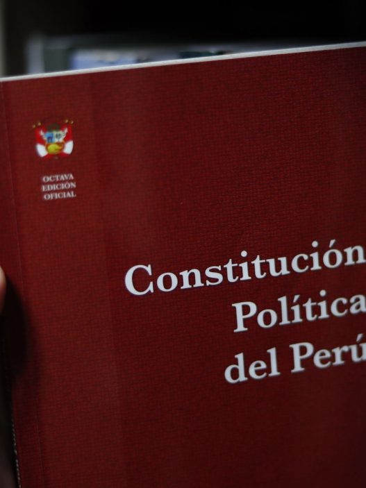 La defensa del régimen económico en la Constitución de Perú