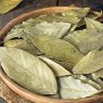 Cinco beneficios del laurel para la salud avalados por la ciencia