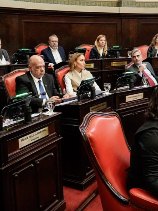 La Libertad Avanza logra representación en el Consejo de la Magistratura bonaerense
