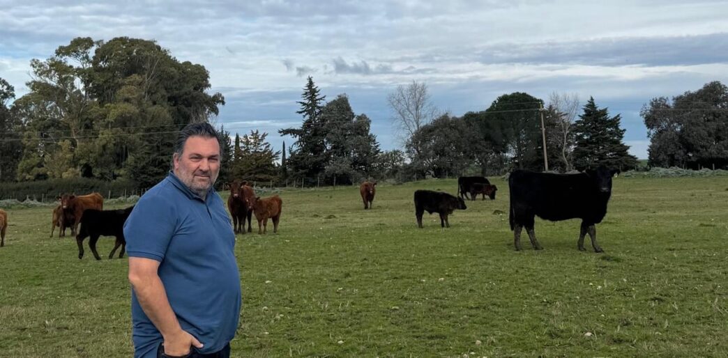 El camino hacia el Gran Campeón Macho Angus de una familia ganadera en Buenos Aires