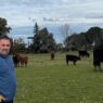 El camino hacia el Gran Campeón Macho Angus de una familia ganadera en Buenos Aires