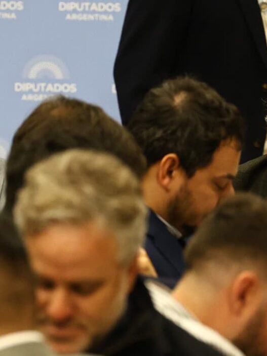 Los diputados de UxP abandonan plenario por desacuerdo con economistas