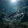 Descubren posible nueva especie de pez en los lagos profundos de Nueva Zelanda