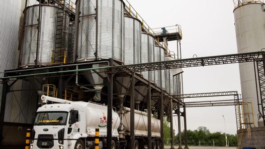 Granja Tres Arroyos Y Wade Buscan Convocatoria de Acreedores Tras Crisis Laboral