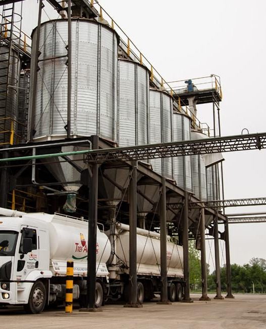 Granja Tres Arroyos Y Wade Buscan Convocatoria de Acreedores Tras Crisis Laboral