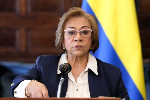 Rosa Villavicencio Critiques Suspension of Passport Agreement: 'There is a Political Interest'
