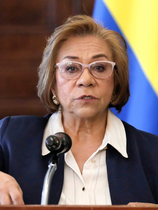 Rosa Villavicencio Critiques Suspension of Passport Agreement: 'There is a Political Interest'