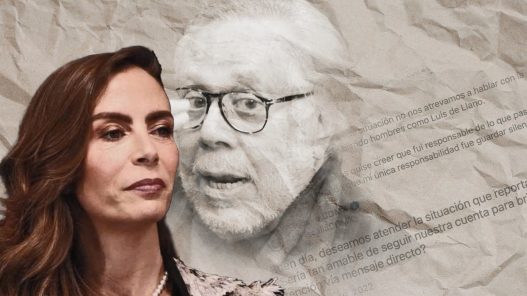 Estado de salud de Luis de Llano tras su arresto