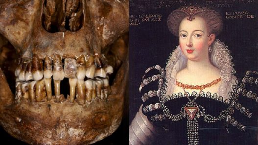 Los secretos dentales de una condesa del siglo XVII encontrados en el Castillo de Laval