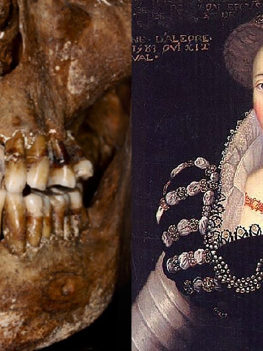 Los secretos dentales de una condesa del siglo XVII encontrados en el Castillo de Laval
