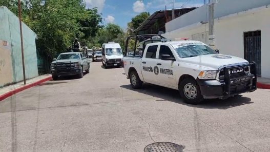 Operativo Enjambre: 71 personas detenidas por falsificación de identidad policial en Guerrero