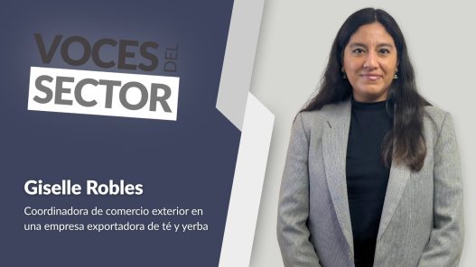 Logística del té: tiempos críticos y certificaciones esenciales en cada envío