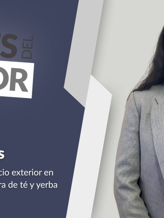 Logística del té: tiempos críticos y certificaciones esenciales en cada envío