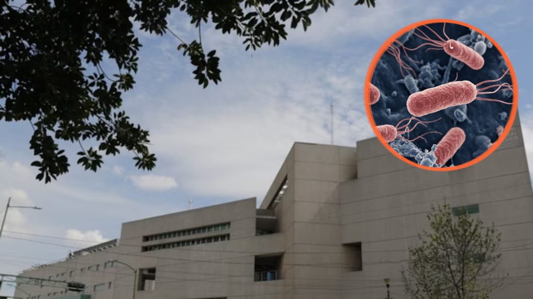 Brote de salmonelosis afecta a médicos del Hospital General de México