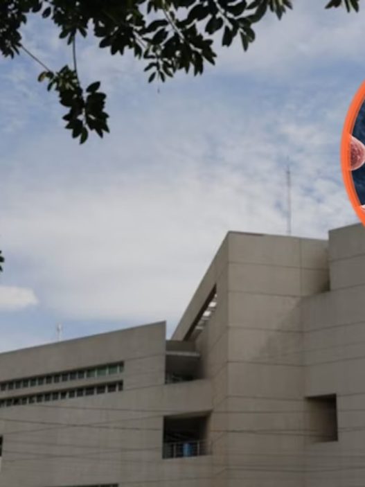Brote de salmonelosis afecta a médicos del Hospital General de México