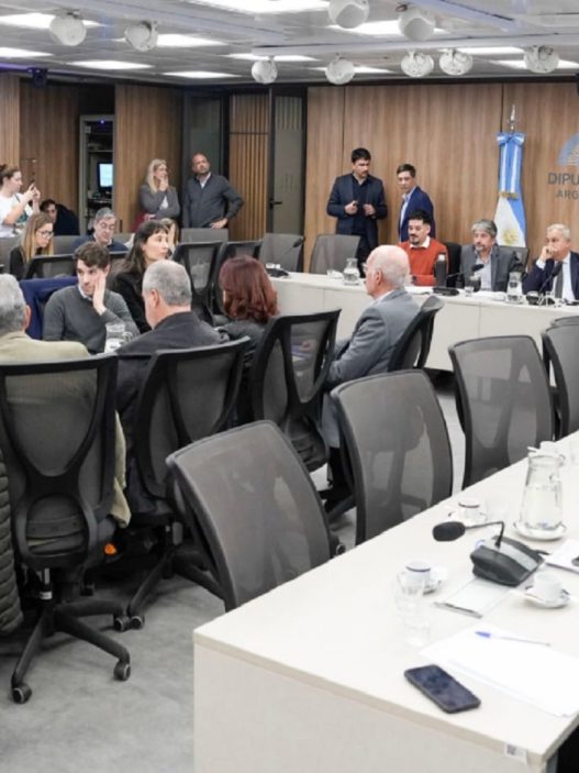 La Cámara de Diputados avanzará en el tratamiento de morosidad esta semana