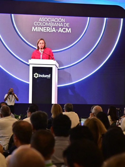 Desmontaje de Distritos Mineros Especiales en Colombia: Anuncio del Gobierno