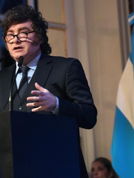 El análisis crítico sobre el gobierno de Javier Milei: Menos gritos y más crecimiento